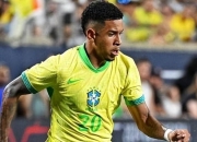 热刺废柴复活，17场造9球，安切洛蒂欣赏的9号，巴西队进球最多！的简单介绍